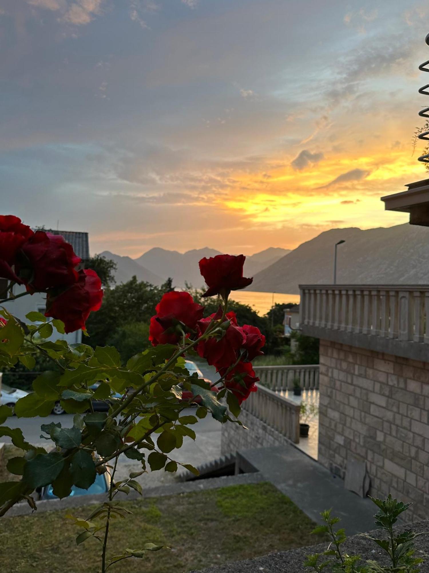 Sunny Apartment Kotor Ngoại thất bức ảnh