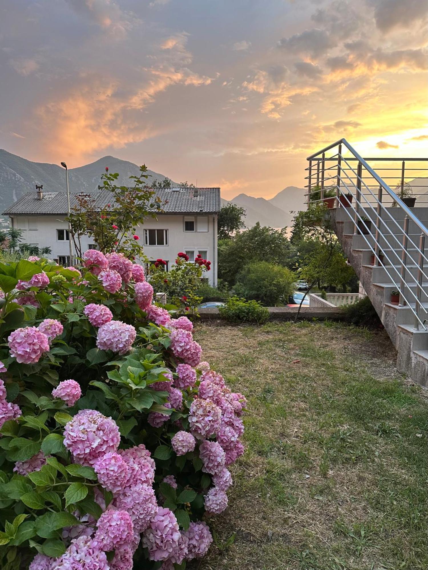 Sunny Apartment Kotor Ngoại thất bức ảnh